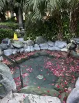 Wuman Shanye Camping Homestay - Thermen