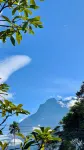 BambooZinc Campstay, Pekan Nabalu - Haustierfreundliche
