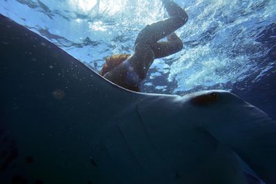 その他 バンドス モルディブの写真