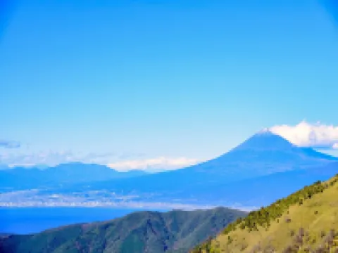 HOTEL LAFORET SHUZENJI Hotels in Izu City