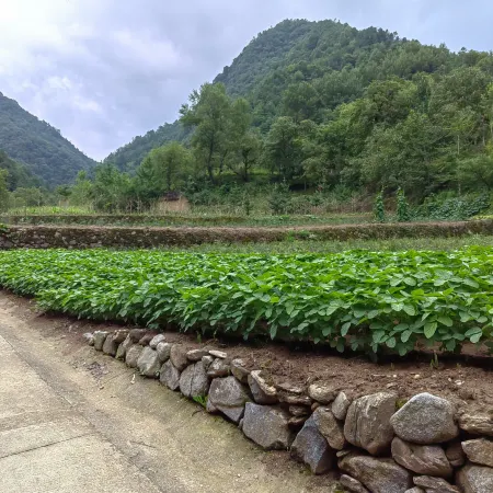 Xingxuan Inn (Yuxuan Road Branch)