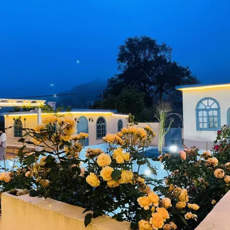 Dumpling Island Island Flower Homestay