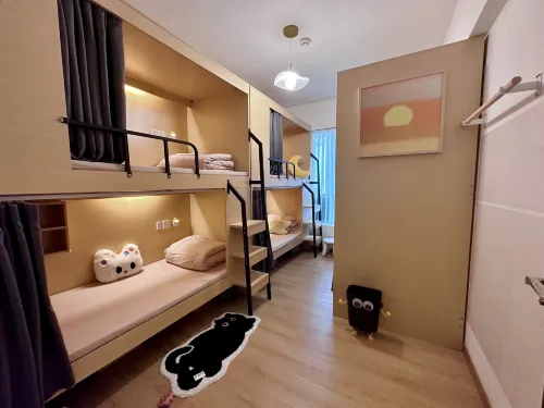 Shenzhen messin Youth Hostel