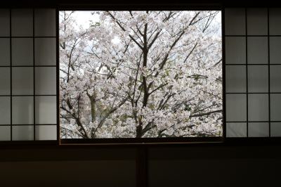 その他 鶴巻温泉 元湯陣屋の写真