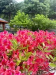 Junyuan Junxin Homestay (Zhongling Cableway)