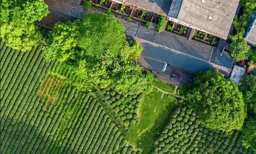 Hangzhou Shusheng Longjing Hotel