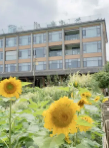 Fuxian Lake Xiake Yunqi Homestay