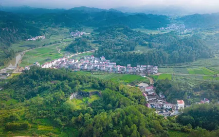 Wuyi Leijia homestay Отели рядом с достопримечательностью «Huangjiali Ancient Trees»