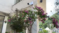 Xunmeng IMAX Cinema Homestay - Evcil Hayvan Kabul Edilen Alan