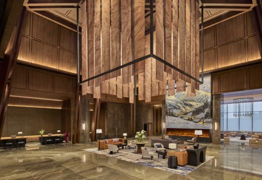 5. 비그넷 컬렉션 ..