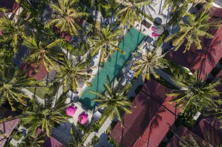 PinkCoco Gili Air - Constant Surprises & for Cool Adults Only