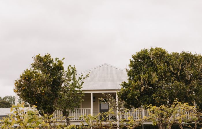 Ampersand Estates Luxury Cottage Nestled in National Forest