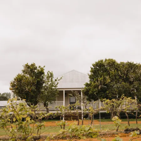 Ampersand Estates Luxury Cottage Nestled in National Forest