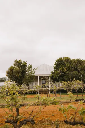 Ampersand Estates Luxury Cottage Nestled in National Forest