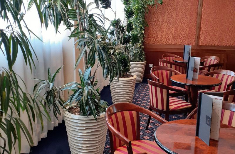 Etrusco Arezzo Hotel, Sure Hotel Collection by Best Western photo 3