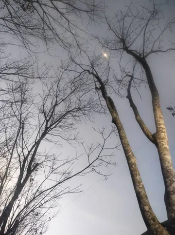 รูปภาพของบ้านน้ำทิพย์โฮมสเตย์ตรัง