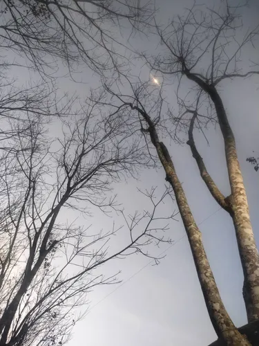 รูปภาพของบ้านน้ำทิพย์โฮมสเตย์ตรัง