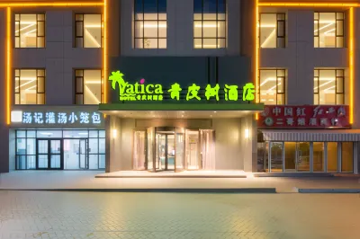 Vatica Hotel (Kashgar Daxue Xinquan Campus) Hotels in Kashgar