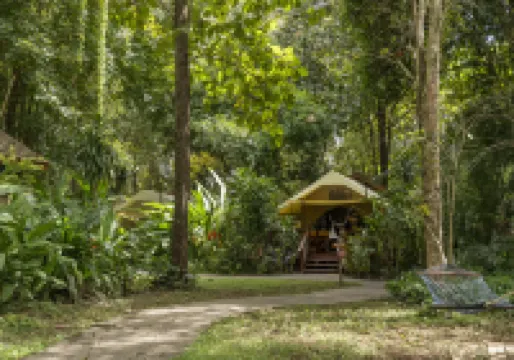 Hintok River Camp
