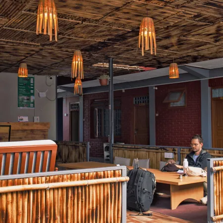 The Mango Tree- Backpackers Hostel