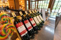 Sheraton Maoming Hot Spring Resort - bar