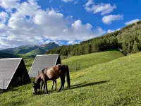 Space Trip Boutique Hotel - Homestays