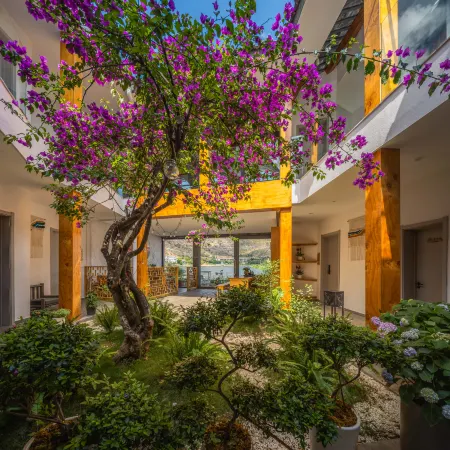 On the side of clear water, sunrise on the sea, waterfront and sea view vacation accommodation
