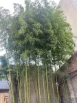 Yixin Travel Hotel (Huashan Scenic Area Branch) - 2 stelle
