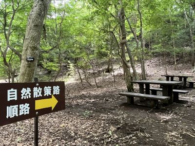 その他 ホテルラフォーレ修善寺の写真