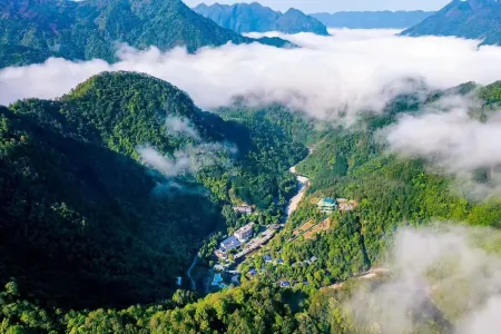 Guangdong First Peak Forest Hot Spring Resort