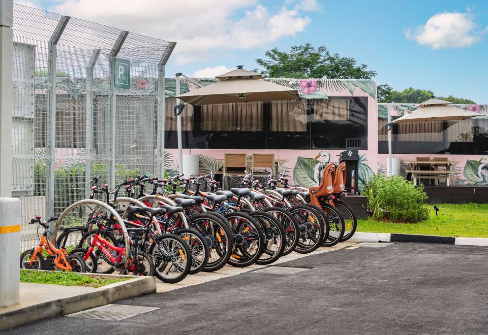 3. 버스 컬렉티브..