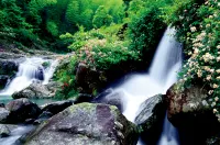 溫州市雲影民宿（澤雅風景區店）