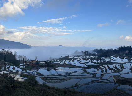 Rice Field Ideal Homestay