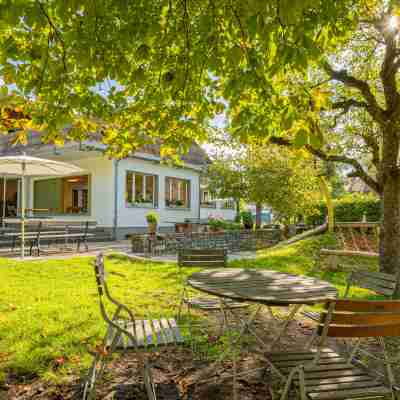 Brienz Youth Hostel Hotel Exterior