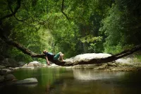 Ella Jungle Resort Hotels in Buttala