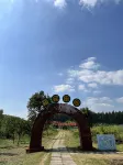 Jinhu Water Forest Scenic Area, Jinhu Water Forest · Gangfu  Hot Spring Resort Hotel - Gym