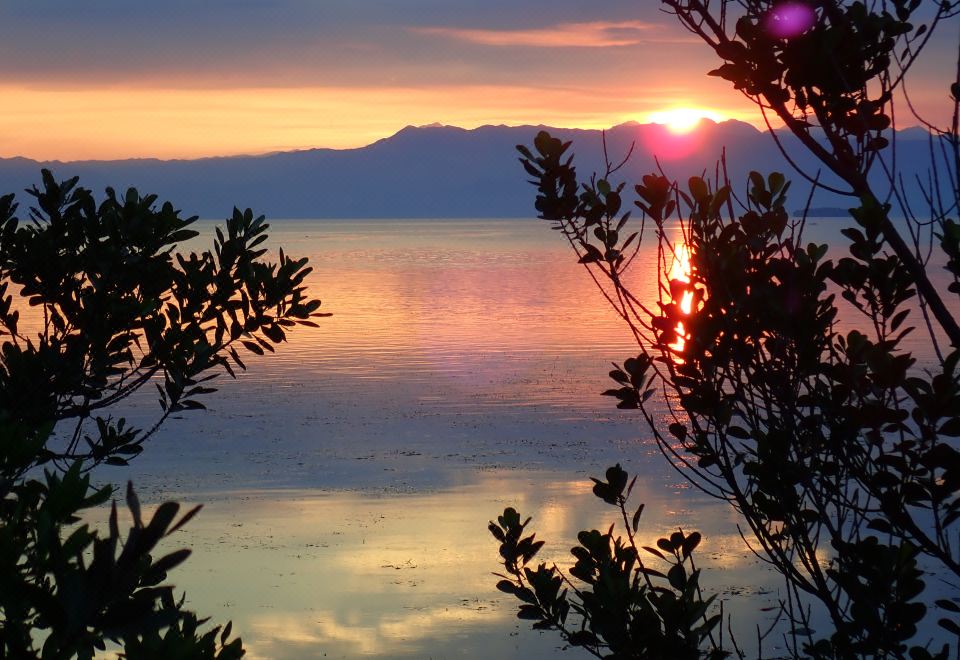 5. 에스카포 베르데..