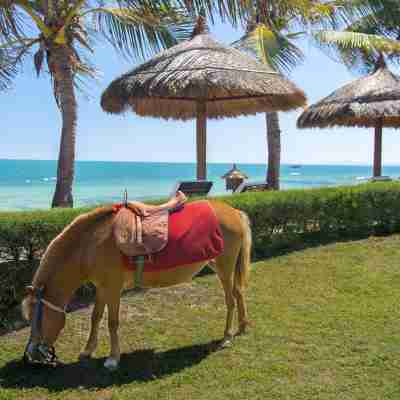 維多利亞潘切海灘水療度假村 Hotel Exterior