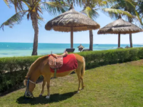 Victoria Phan Thiet Beach Resort & Spa Hotels near Jibe's Beach Club