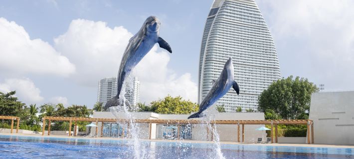 Atlantis Sanya Hotels in Sanya