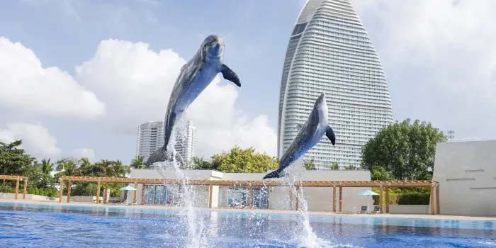 Atlantis Sanya image 0