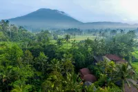 Aura Cendana Hill Sidemen by AGATA