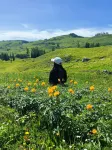 Baihaba Wild & Free Guesthouse - 4-Star