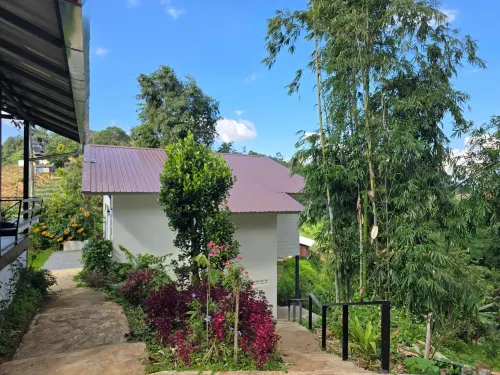 Puravida Retreat - Bjergudsigt