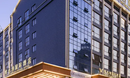 비엔나 호텔 (마이트레 호수 스프링 타운십 온천 지점)