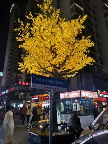 Dream Season Inn (Zhangjiajie Tianmenshan Cableway Station)