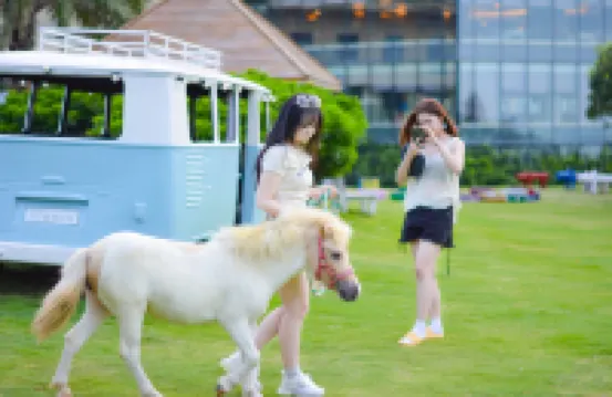 温州金海岸ニューセンチュリー グランドリゾートホテル