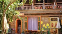 MUSE CAFE GUESTHOUSE - صديق للحيوانات الاليفة