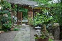 Longquan Hotel and Homestay