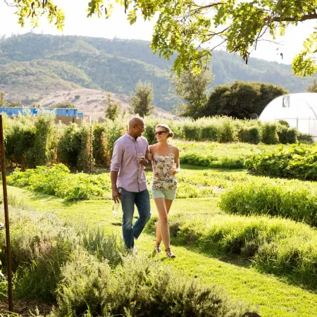 Napa Valley Lodge